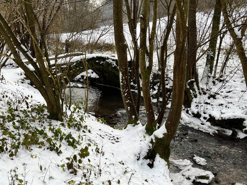 22-12-19 12-41-10 3623